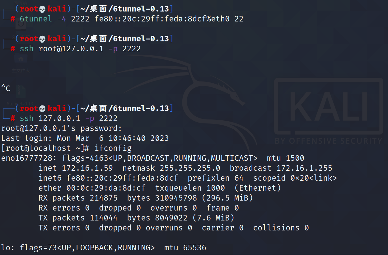 image-20260303152056704