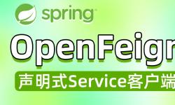Featured image of post OpenFeign